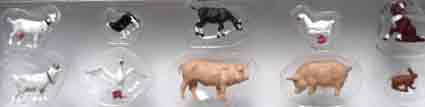 Farm-Animals