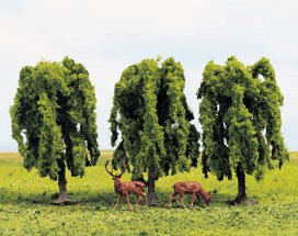 Weeping willow trees