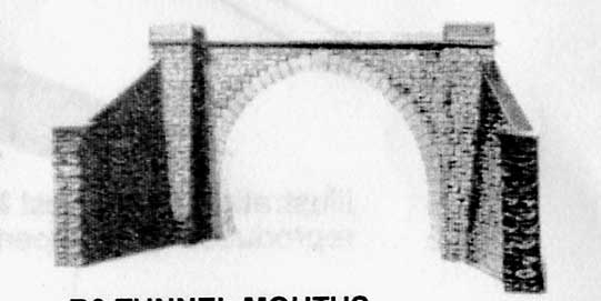 builteezi tunnel mouth